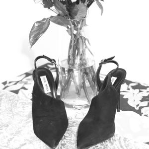 Gorgeous Black Steve Madden Heels